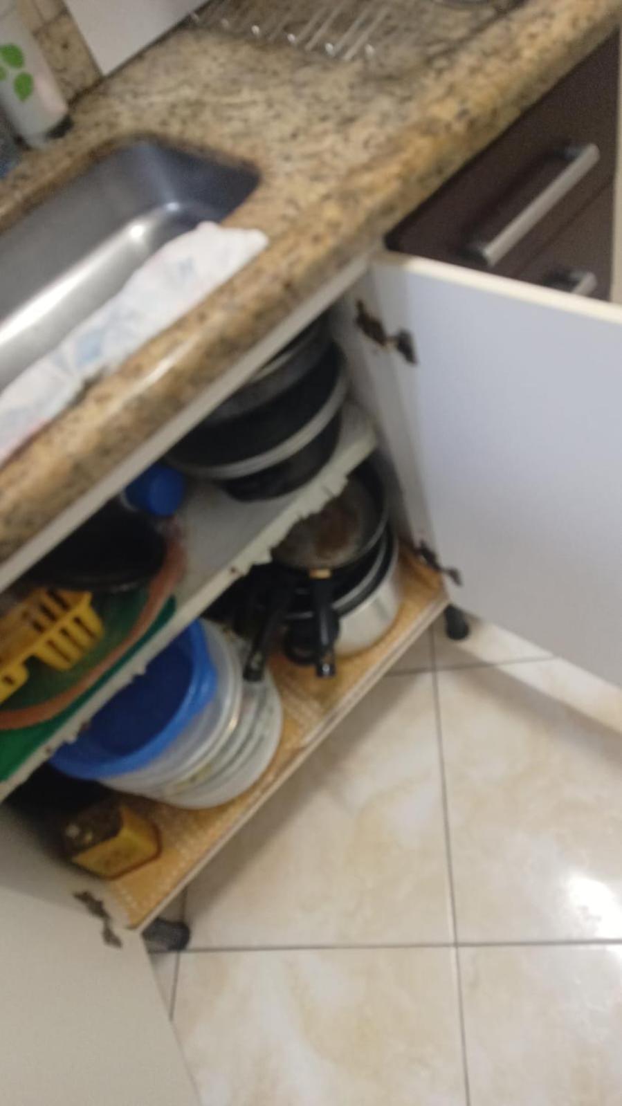 Apto A 50M Da Praia, Com Ar Condicionado, Wifi , Portaria 24H Praia Grande  Buitenkant foto